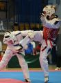 II Ogólnopolska Eliminacja do Mistrzostw Polski Juniorów i Młodzieżowców w Taekwondo Olimpijskim.